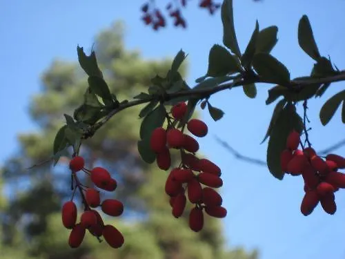 Hotel Parseierblick 3*